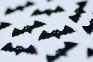 black bats