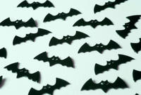 black bats