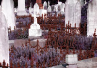 cemetery graves