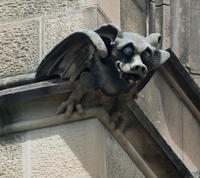 gargoyle