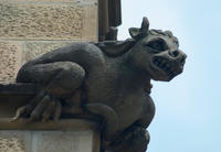 gargoyle