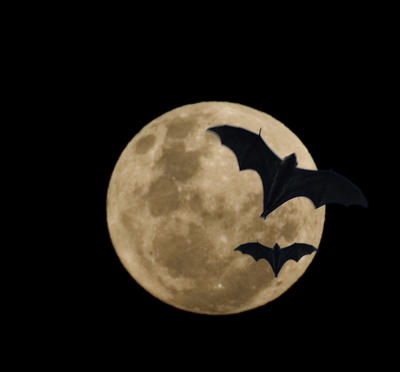 full moon with bats