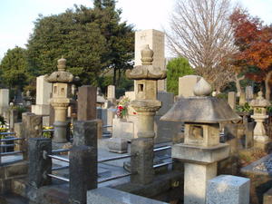 tokyo graves