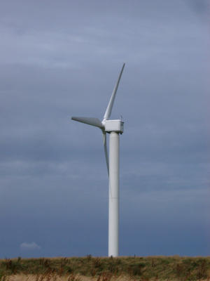 windfarm