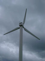 windfarm