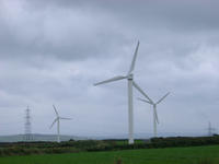 windfarm