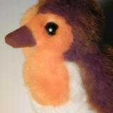 fluffy robin