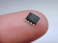 tiny chip