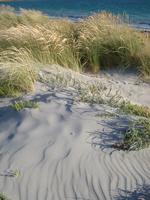 sand dunes