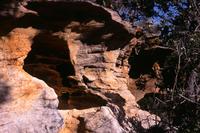 wind weathered rock