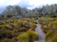 boardwalk