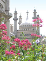 pavilion flowers