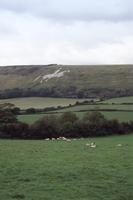 white horse near osmington dorset