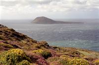 bardsey island