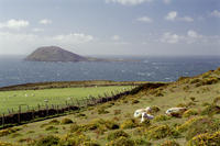 bardsey island