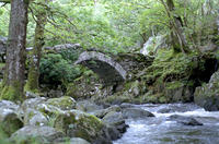 bridge and river