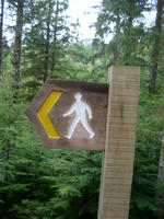 walking sign