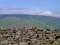 dales wall