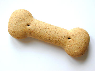 dog biscuits