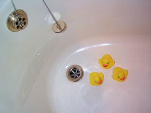 ducks in the bath