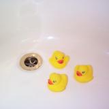 ducks in the bath