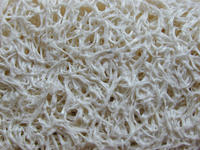 loofah texture