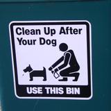 dog waste