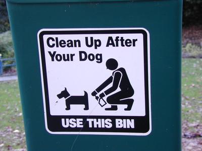 dog waste