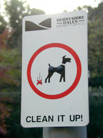 dog waste