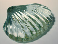 glass shell