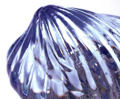 glass shell