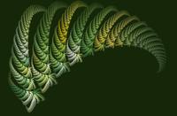 green fern