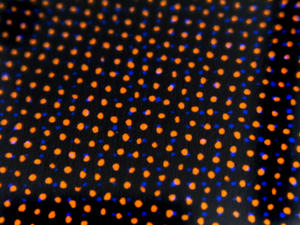 dot pattern orange