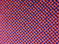 halftone pattern pink