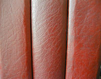 leather books