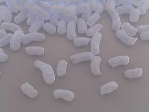 packing bacteria