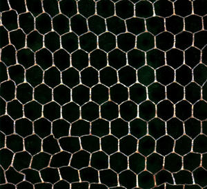 chicken wire