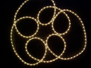 light chain