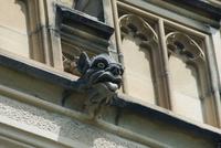 gargoyle