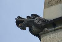 gargoyle