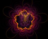 fractal flower