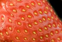 Close up strawberry