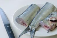 fish filleting