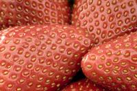 ripe strawberries