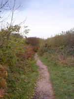 footpath