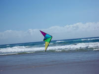 stunt kite