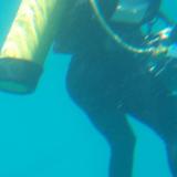 scuba diving blur