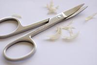 toenail scissors