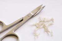 toenail scissors