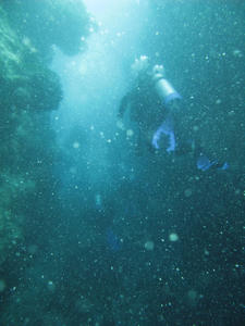 divers underwater